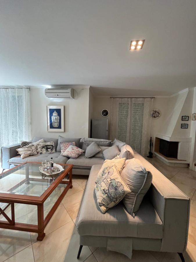 Villa Ampelaki "30 Meters To Beach" ปาเลโอกัสไตรซา ภายนอก รูปภาพ